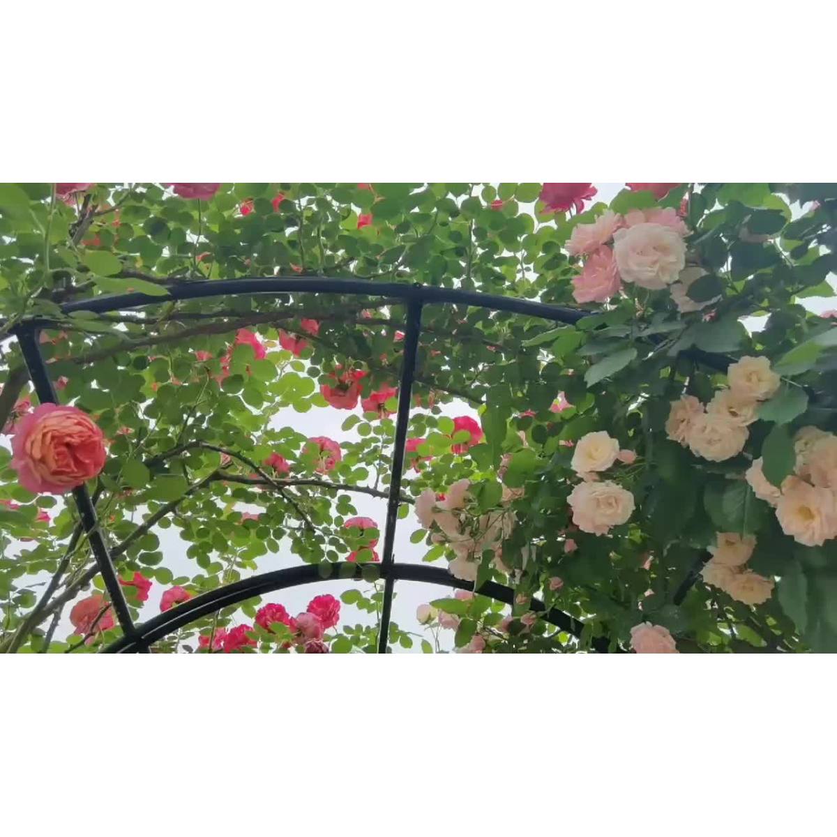 0023c779-3394-4f60-b859-b48d1bdeb650